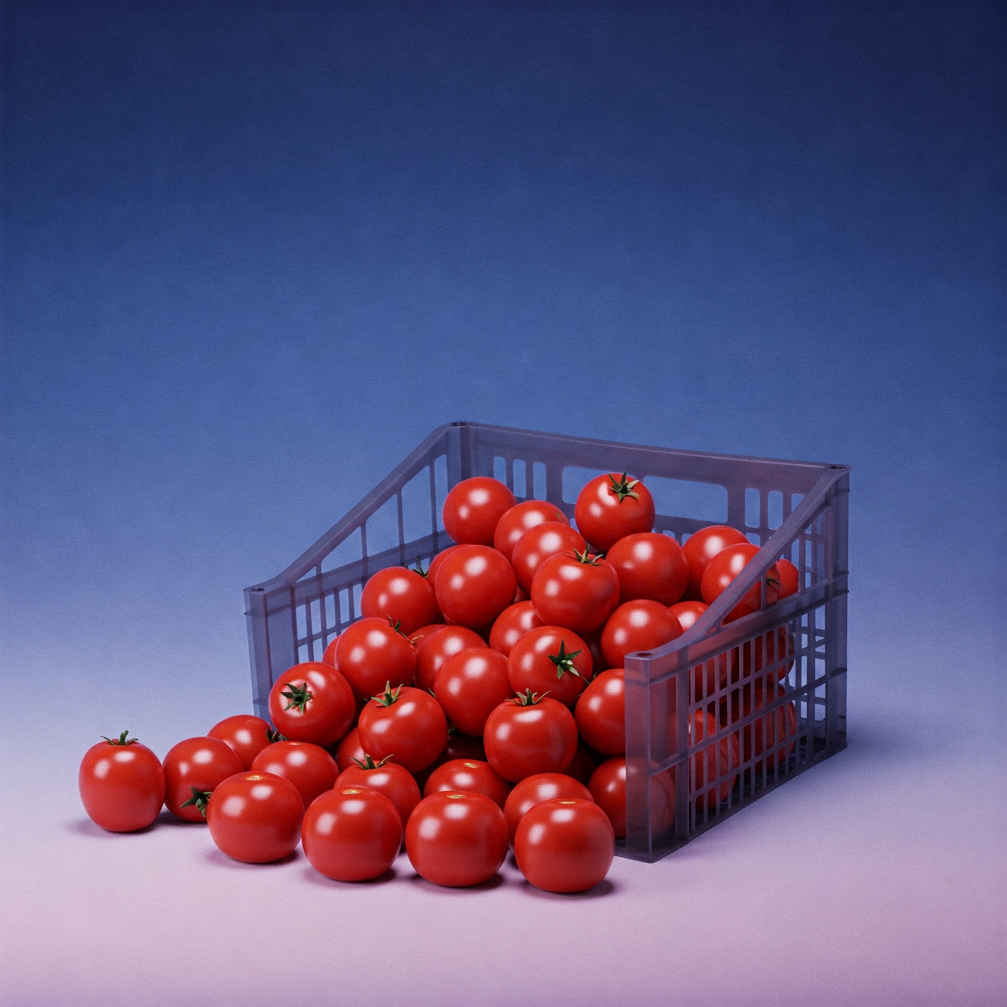 Tomato Deal